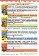 Листовка Кедровая сила и кедровые сливки